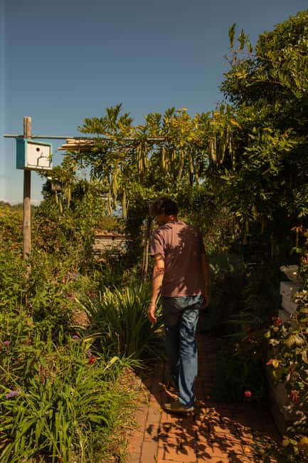 Soriano nel Cimino: Studio visit with an artist + lunch in the home-studio - Explore an Artist’s Home and Creative Space in Soriano nel Cimino