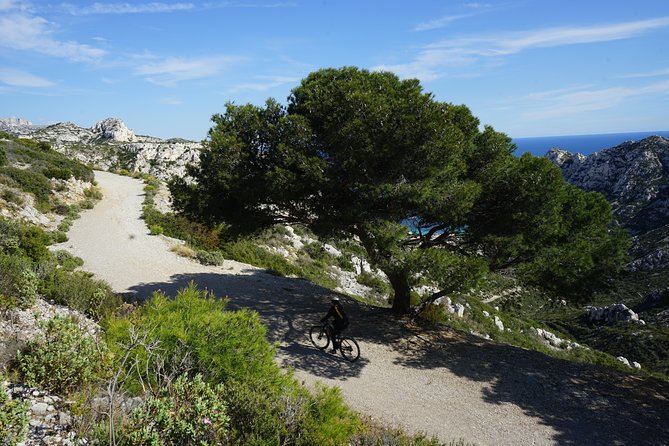 Sormiou Calanques National Park Electric Bike Tour from Marseille - The Professional Guide and Bike Experience