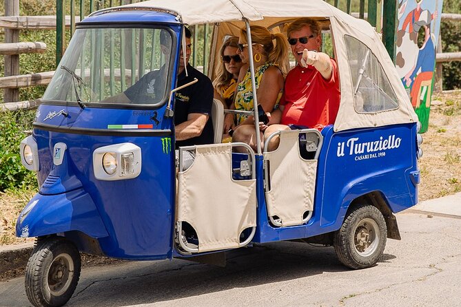 Sorrento Ape Tour, Lemon Garden, Mozzarella Show & Pizza Class - Visiting the Lemon Groves of Schiazzano