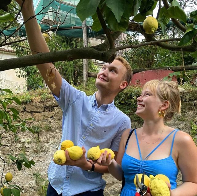 Sorrento: Authentic Lemon Experience in a Farm with Tastings - Practical Tips and Considerations