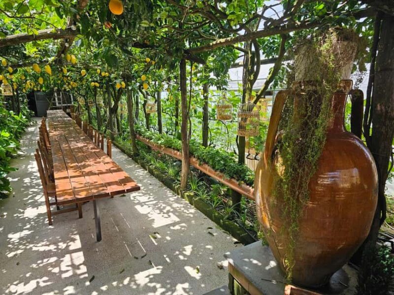 Sorrento Coast E-Bike Tour and Visit at Vinegar Cellar - Visiting the Historic Farmhouse and Vinegar Cellar