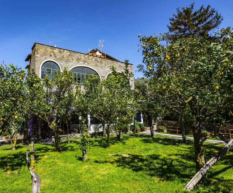 Sorrento: Coast E-Bike Tour with Limoncello Tasting - Booking Flexibility and Group Size