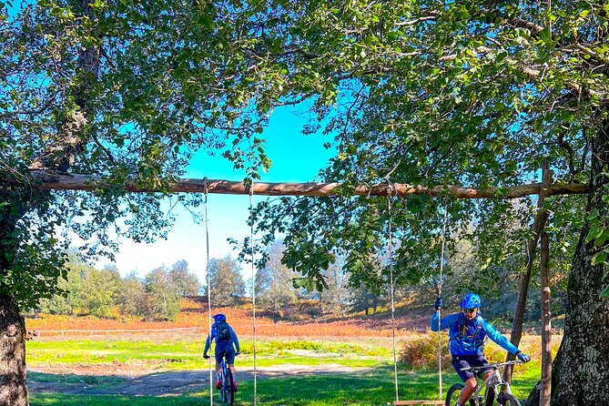 Sorrento e-bike adventure: olive oil and lemon tasting - Visiting Massa Lubrense and the Panoramic Terraces