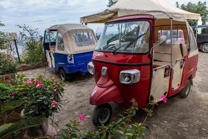 Sorrento Farm by Tuk Tuk: Cheese, Limoncello & Hands-On Pizza - Tasting Limoncello: Family-Favorite Recipe