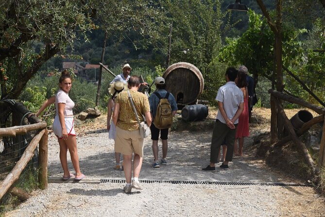 Sorrento Farm Experience: Wine Tasting, Pizza and Cheese Making - Visit a D.O.P. Certified Farm Focused on Sustainability