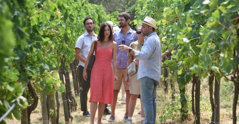 Sorrento: Farm Tour with Cheese Tasting & Pizza Making Class - Cheese-Making Demonstration with Tasting