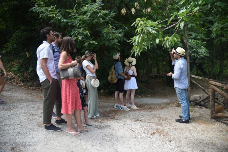 Sorrento: Farm Tour with Cheese Tasting & Pizza Making Class - Pizza Making with a Family Touch