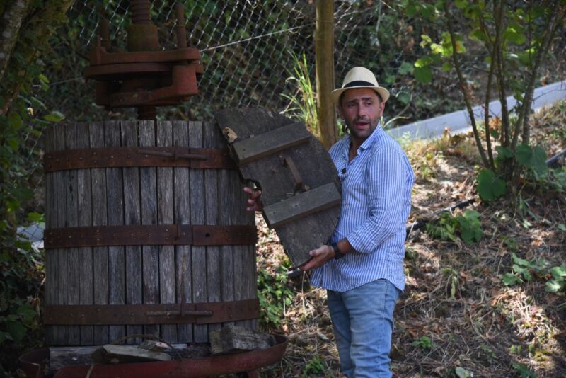 Sorrento: Farm Tour with Cheese Tasting & Pizza Making Class - Weather Considerations and Tour Cancellation