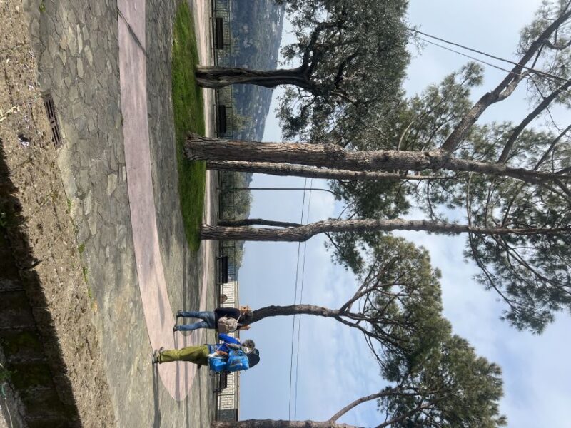 Sorrento: From the Hills to the Sea Hiking Tour - Crossing the Shore Grottoes and Archaeological Ruins