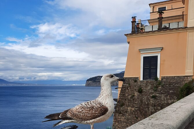 Sorrento grand tour off the beaten track with breathtaking landscapes - Discovering Sorrento’s Mythical Land at Piazza della Vittoria