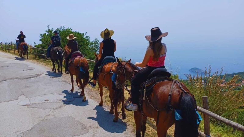 Sorrento: Horseback Riding Tour with Guide - Key Points