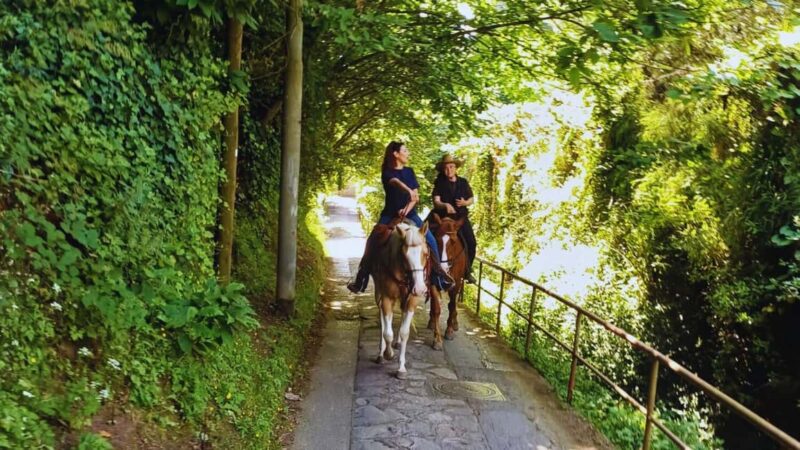 Sorrento: Horseback Riding Tour with Guide - Practical Details: Meeting Point, Group Size, and Weather