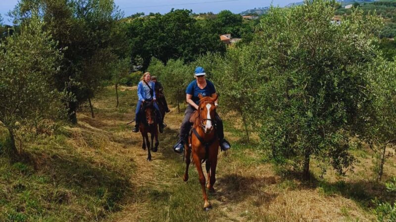 Sorrento: Horseback Riding Tour with Guide - The Support and Safety Measures for Beginners and Experts
