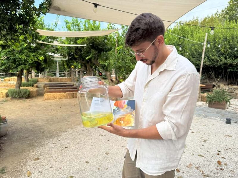 Sorrento: Lemon Tour & Limoncello Spritz Workshop - Create Your Own Limoncello Spritz in a Fun Workshop