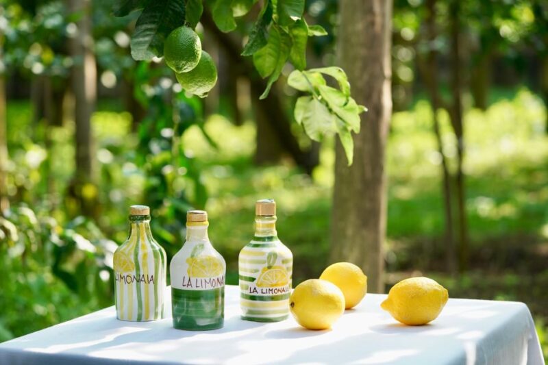 Sorrento Lemon Tour - Why the Sorrento Lemon Tour Stands Out