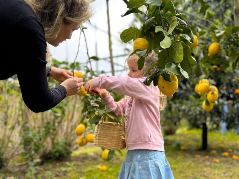 Sorrento: Lemon Tour with Limoncello Tasting - Meet the Guides: Knowledgeable and Friendly