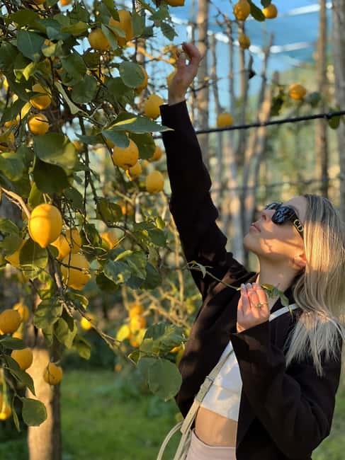 Sorrento: Lemon Tour with Limoncello Tasting - The Scenic Setting and Rustic Charm