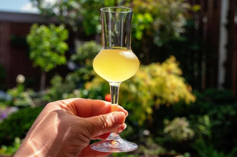 SORRENTO: Limoncello Making And Tasting Experience - What Guests Say About the Experience