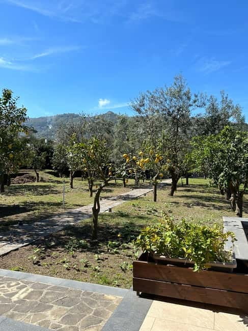 Sorrento: Mozzarella experience. Say CHEESE with us! - Tasting Organic Products and Local Wines