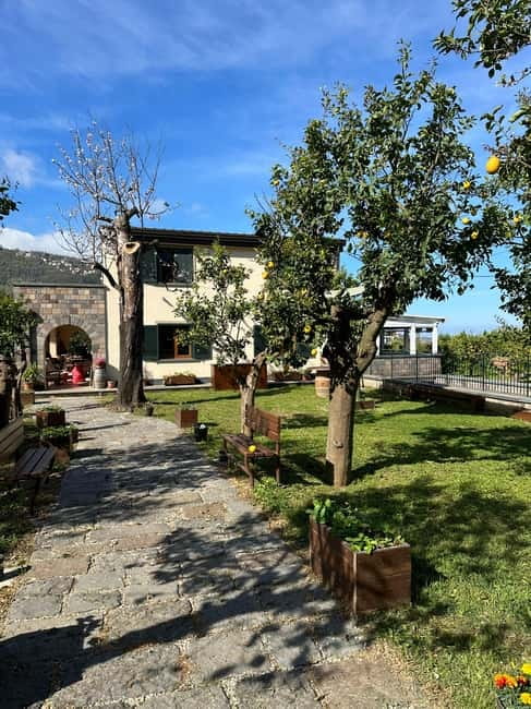 Sorrento: Mozzarella experience. Say CHEESE with us! - Meet Sara and the Family-Owned Farm