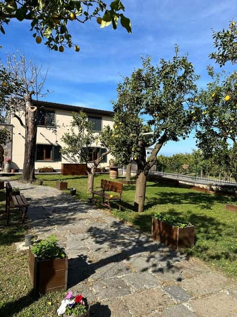 Sorrento: Mozzarella experience. Say CHEESE with us! - Reviews and Feedback on the Experience