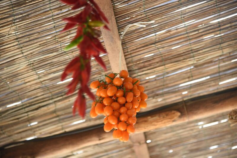 Sorrento: Pizza Lesson, Wine, and Limoncello at a Local Farm - Transport and Convenience