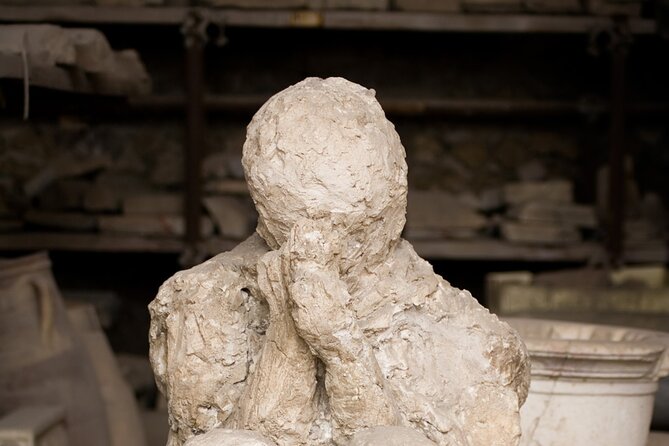 Sorrento & Pompeii guided Day Trip from Rome with optional pickup - Highly Praised Guides and Notable Criticisms