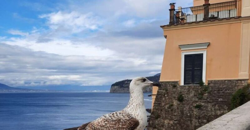 Sorrento: Private walking tour with stunning landscapes - Inside the Majestic Imperial Hotel Tramontano