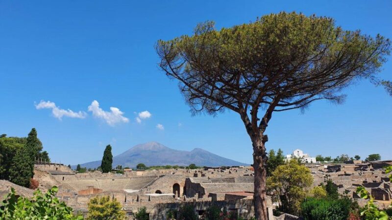 Sorrento: Skip-the-Line Pompeii Express Tour by Train - Who Would Enjoy this Tour Most?