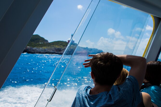 Sorrento to Capri and back: Minicruise Daily Return Ticket - Pricing and Value for Money