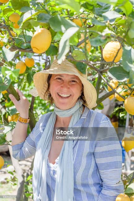 Sorrento Walking Tour: the flavors and scents of lemons - The Setting: A Historic Citrus Grove in Sorrento