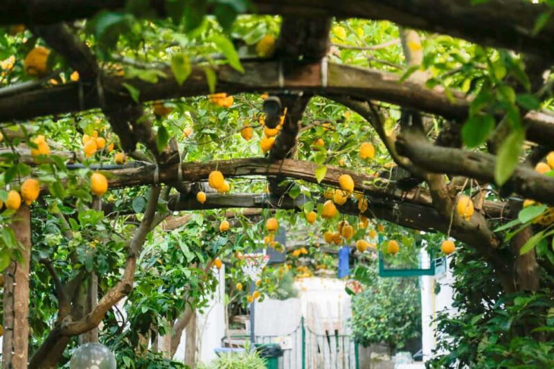 Sorrento: Walking Tour with Local Guide - Exploring Sorrento’s Artistic Heritage: Wood Inlay Craft