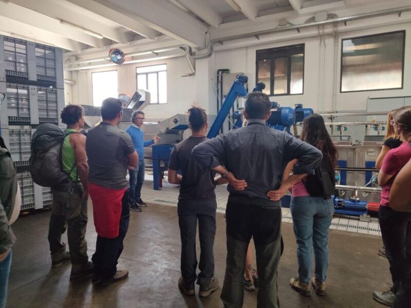 Sortino: Olive Oil tasting with Sicilian Products and Wine - Key Points