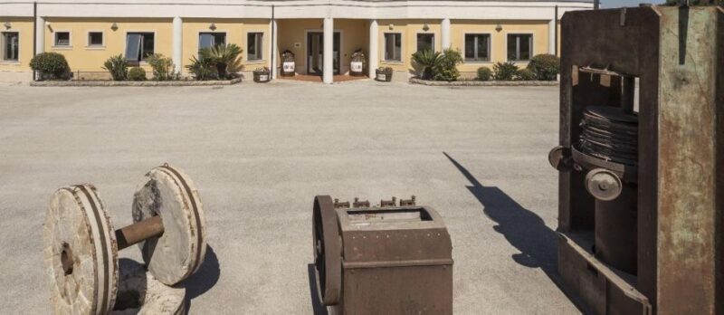 Sortino: Olive Oil tasting with Sicilian Products and Wine - Virtual Reality Brings the Olive Harvest to Life