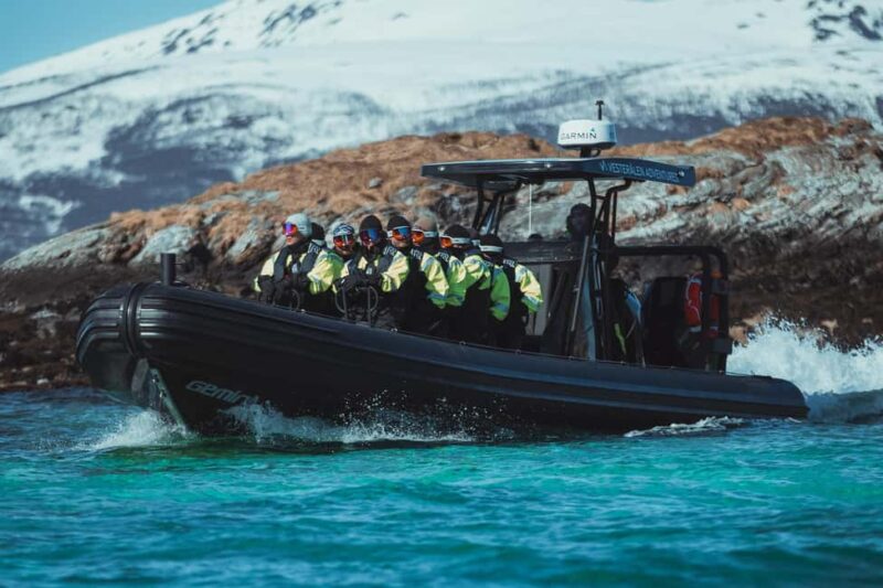 Sortland: Fjord and Sea Eagle Safari by RIB Boat - Key Points