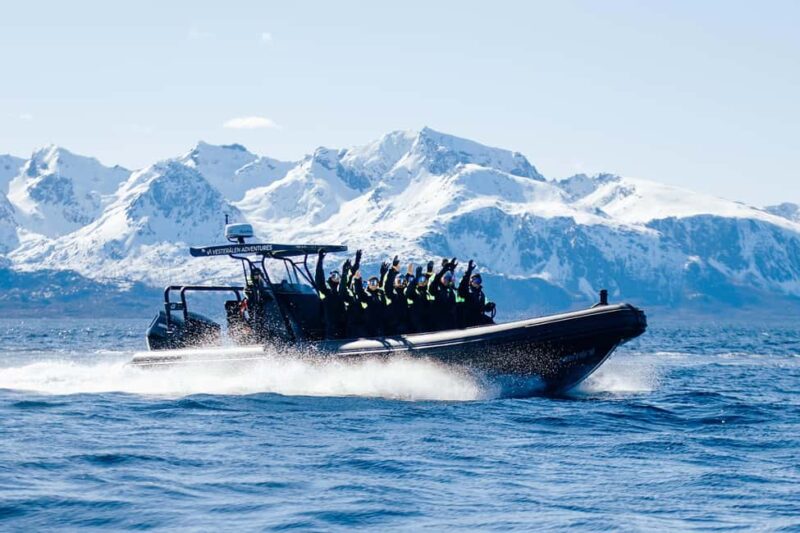 Sortland: Fjord and Sea Eagle Safari by RIB Boat - The Experience Aboard the RIB Boat