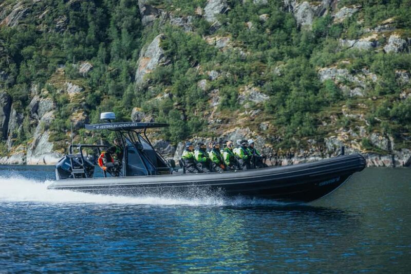 Sortland: Fjord and Sea Eagle Safari by RIB Boat - Who Should Consider This Tour
