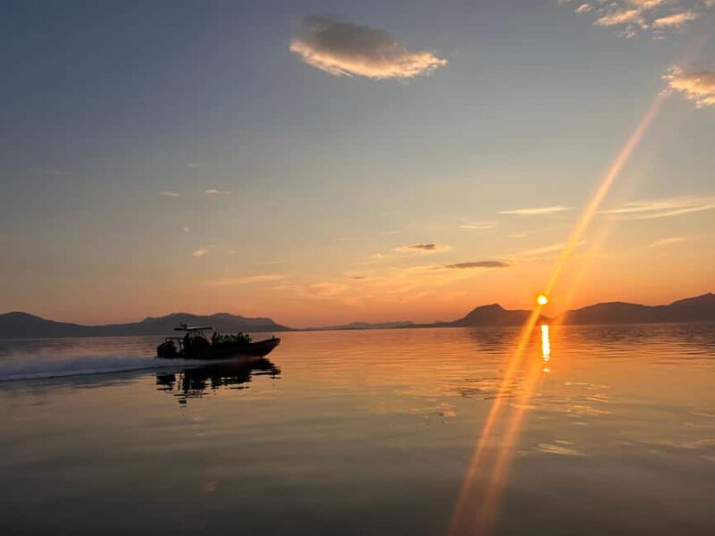 Sortland: Trollfjord RIB Boat Tour - Key Points