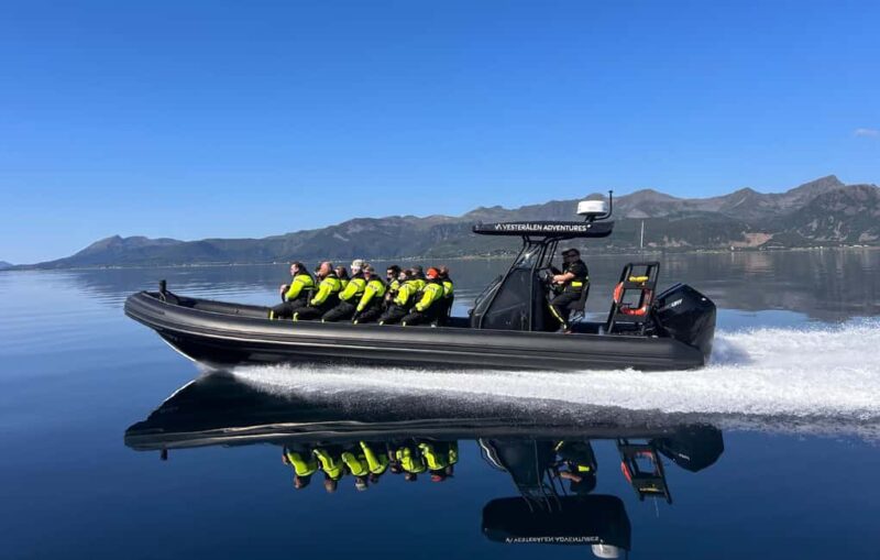 Sortland: Trollfjord RIB Boat Tour - Practical Tips on What to Bring