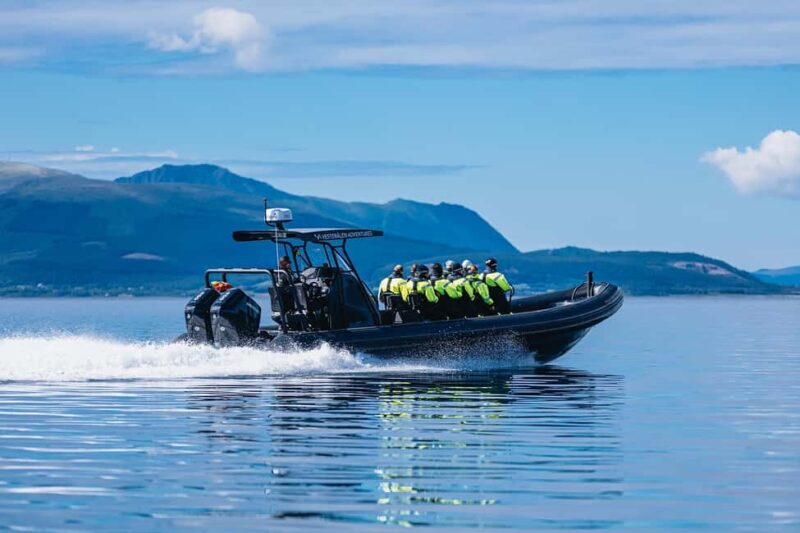 Sortland: Trollfjord RIB Boat Tour - Flexibility in Departure Locations