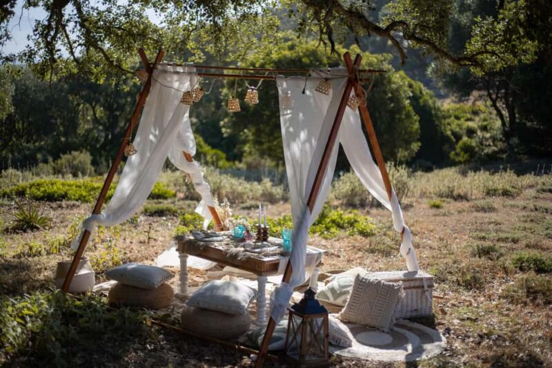 Sotogrande: Styled Outdoor Picnic with Tapas. - Personalization and Optional Extras