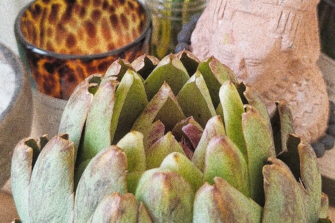 Soul Revitalization: Cacao Ceremony & Sound Healing in Mérida - Practical Details and Logistics