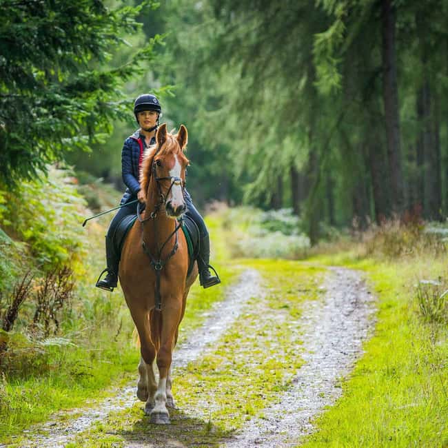 SoulRide: Horseback & Mindful Escape in Kissamos - Key Points