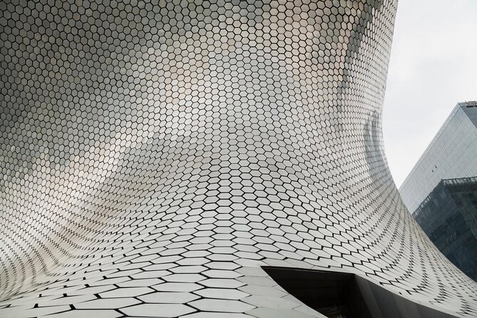 Soumaya Museum Private Tour - The Guide: Knowledgeable, Engaging, and Personable