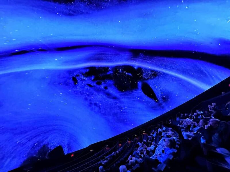 Sounds of the Ocean: The Immersive Experience - Tulsa - Dive into the Soothing World of Sounds of the Ocean in Tulsa