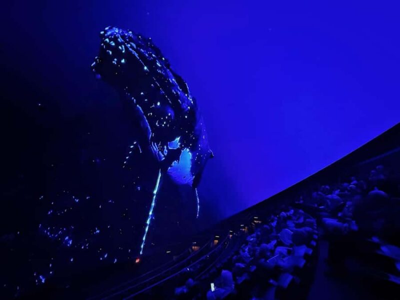 Sounds of the Ocean: The Immersive Experience - Tulsa - Key Points