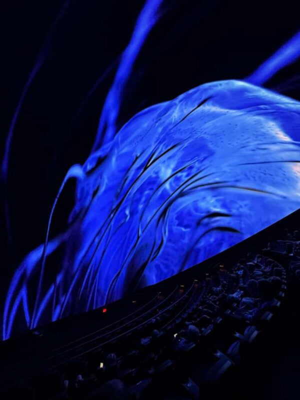 Sounds of the Ocean: The Immersive Experience - Tulsa - Ethereal Audio and Oceanic Soundscapes