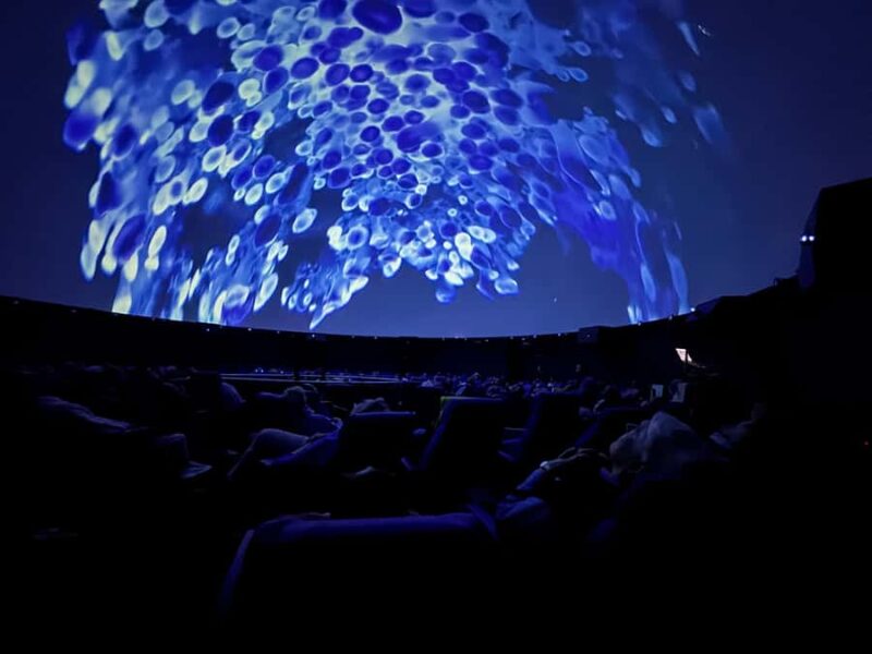 Sounds of the Ocean: The Immersive Experience - Tulsa - Supporting Marine Conservation Through Ticket Sales