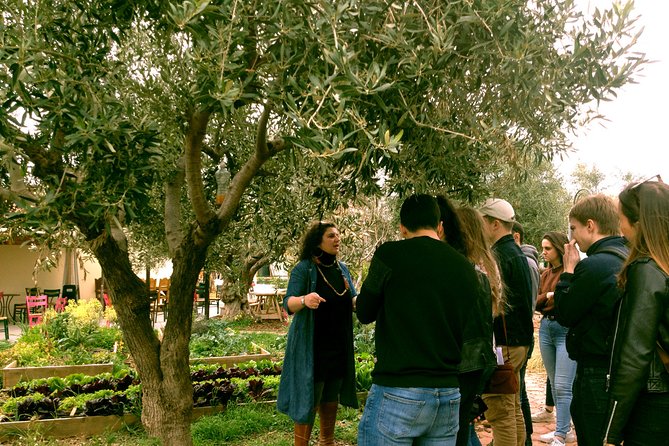 Sounion Highlights: Vouliagmeni, Olive Farm, Poseidon Temple, Thorikos Theatre - Exploring the Ancient Thorikos Theatre