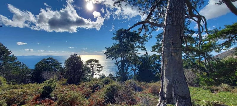 South Albania: 8-Day 360 Adventure Tour with Local Guide - Hiking and Alternative Adventures in Goranxi